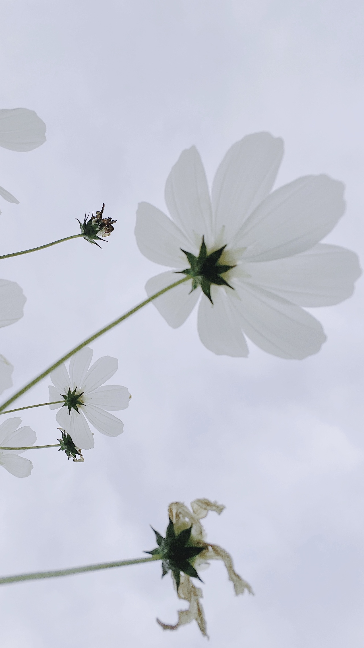 碎片3(手机摄影)