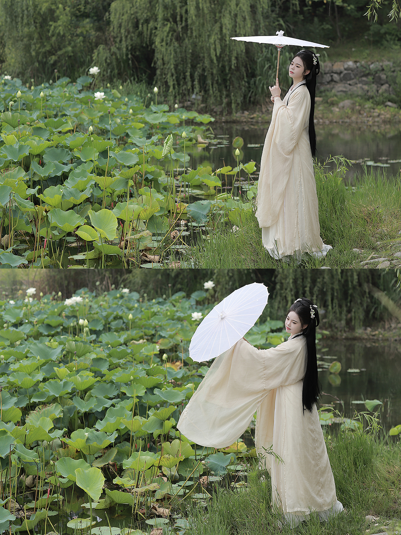 客片|竹色溪下绿 荷花镜里香