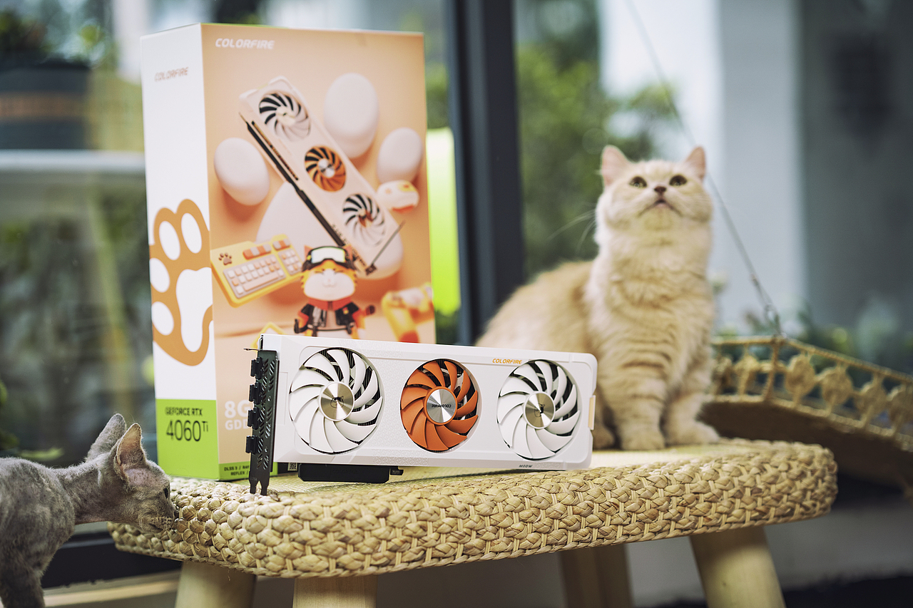 猫猫主题显卡拍摄