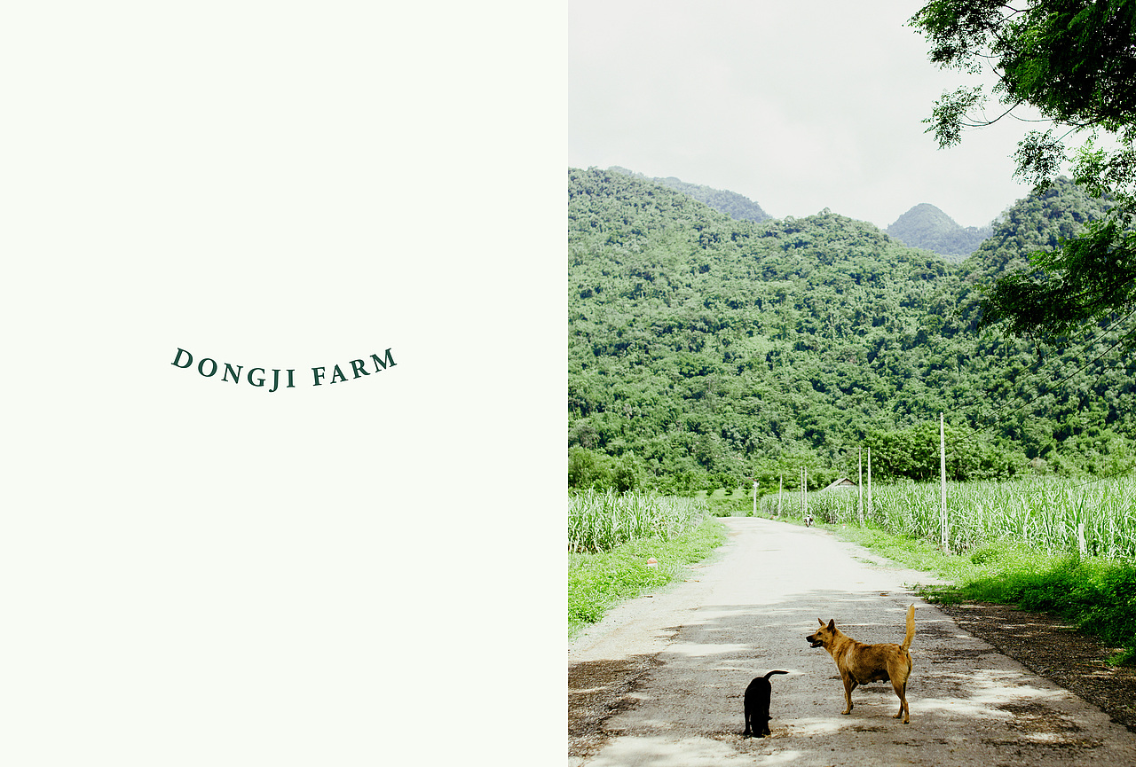 东极农园品牌形象设计