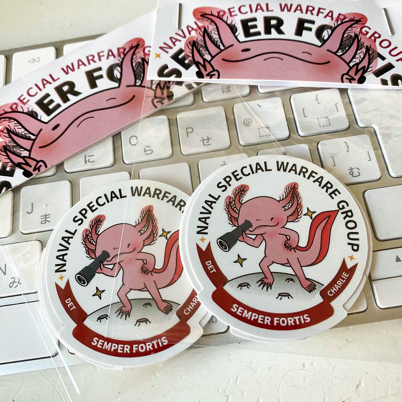 NSWG Patch 海军特种作战群徽章（架空系）（图ZMzIxOTU2NDg0） - 图案 - 站酷设计师cosmos_c原创素材 - 站酷ZCOOL