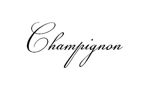 品牌标志字体设计