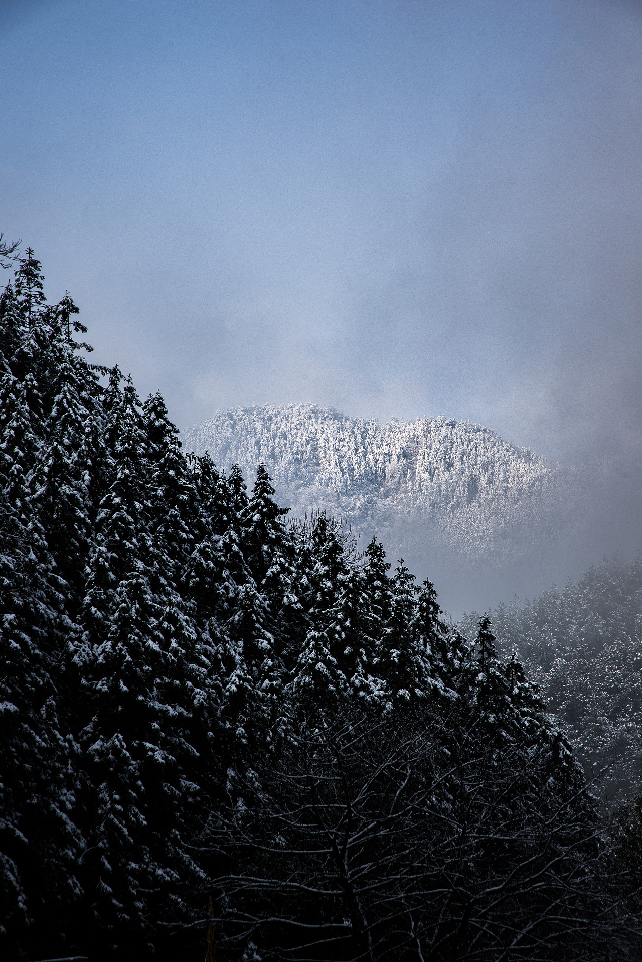 那些记录下的照片
