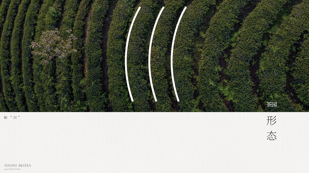 2022天府龙芽全球LOGO征集大赛入围作品（图ZMzIwOTU1NjYw） - Logo - 站酷设计师Chei黒原创素材 - 站酷ZCOOL