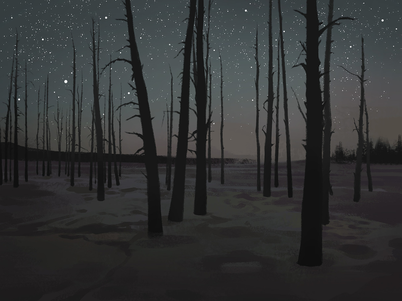 质感插画打卡挑战 Day01--星夜平原的狂奔（图ZMzI3NjExMjM2） - 创作习作 - 站酷设计师木香子Ivana原创素材 - 站酷ZCOOL