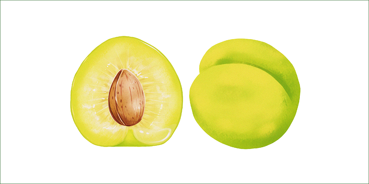 【合正策划案例】 贵州蜂糖李食品品牌包装设计（图ZMzA4MTA2MTI4） - 包装 - 站酷设计师合正策划原创素材 - 站酷ZCOOL