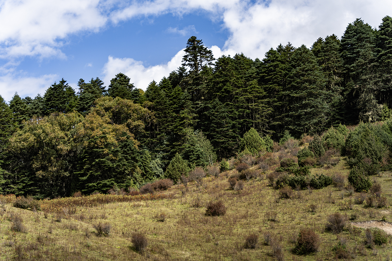 重返香格里拉2022