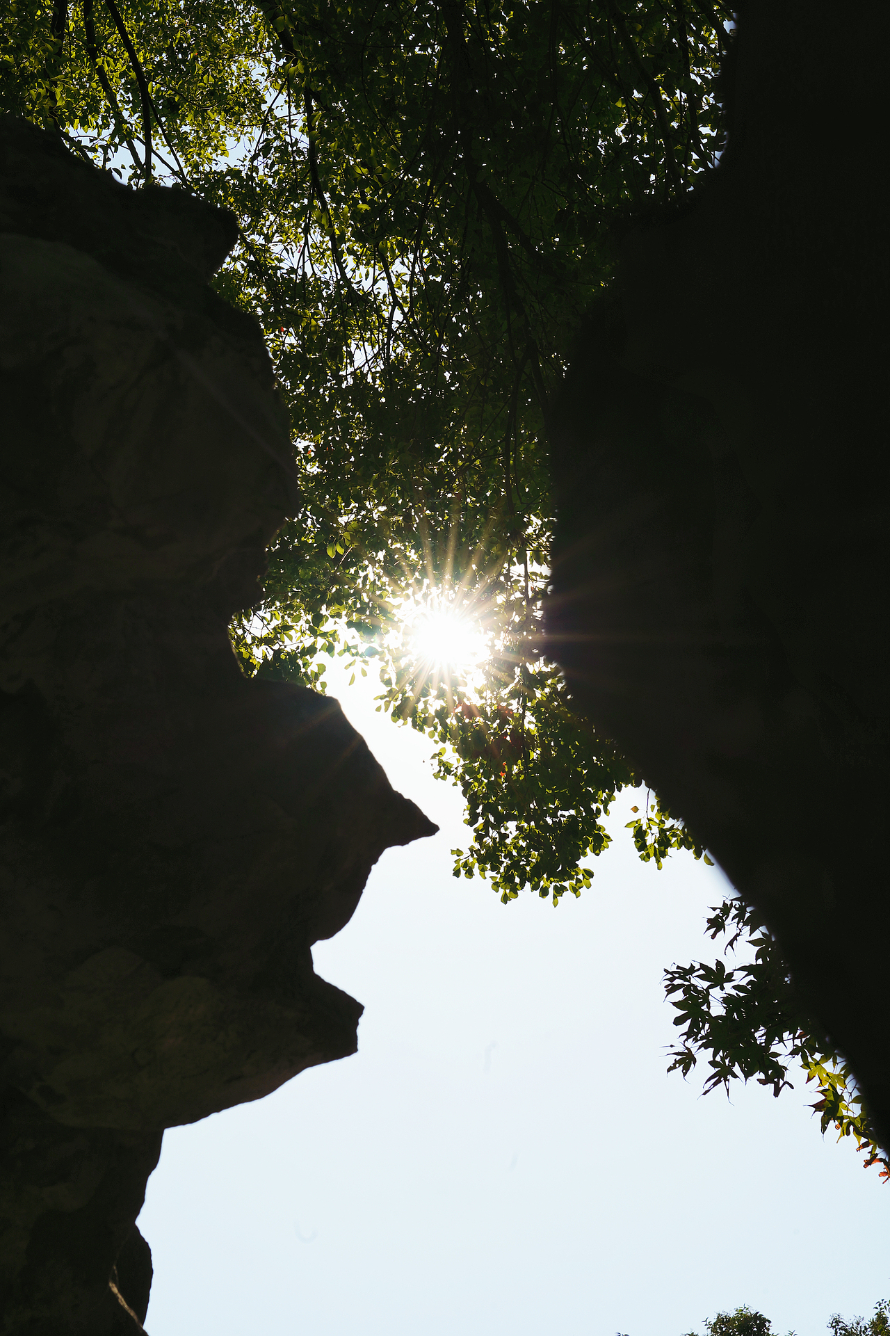 烟雨入江南,山水如墨染⛰️💧