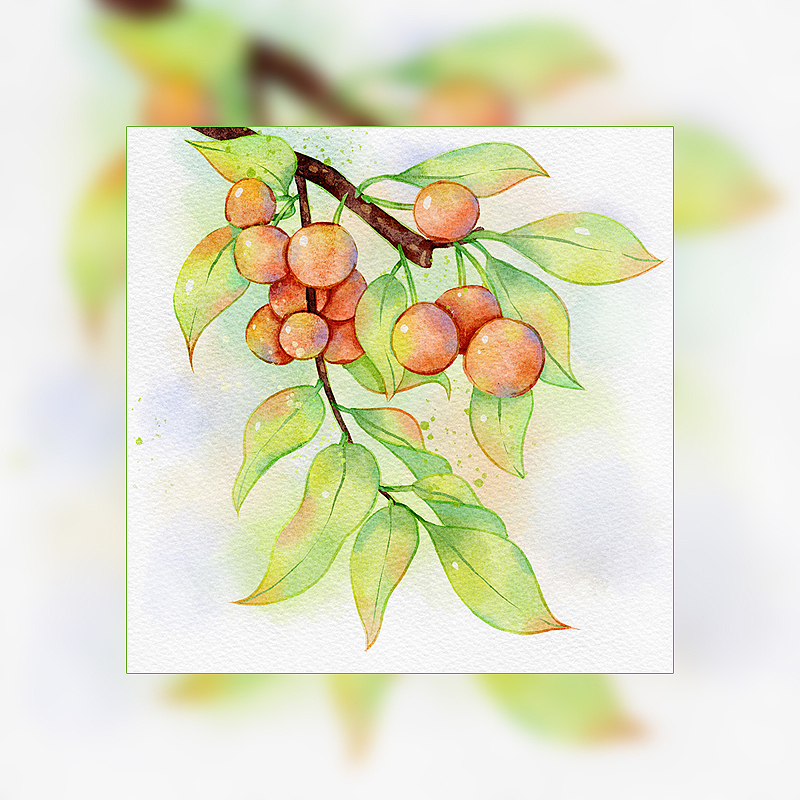 iPad水彩练习 procreate还是蛮香的