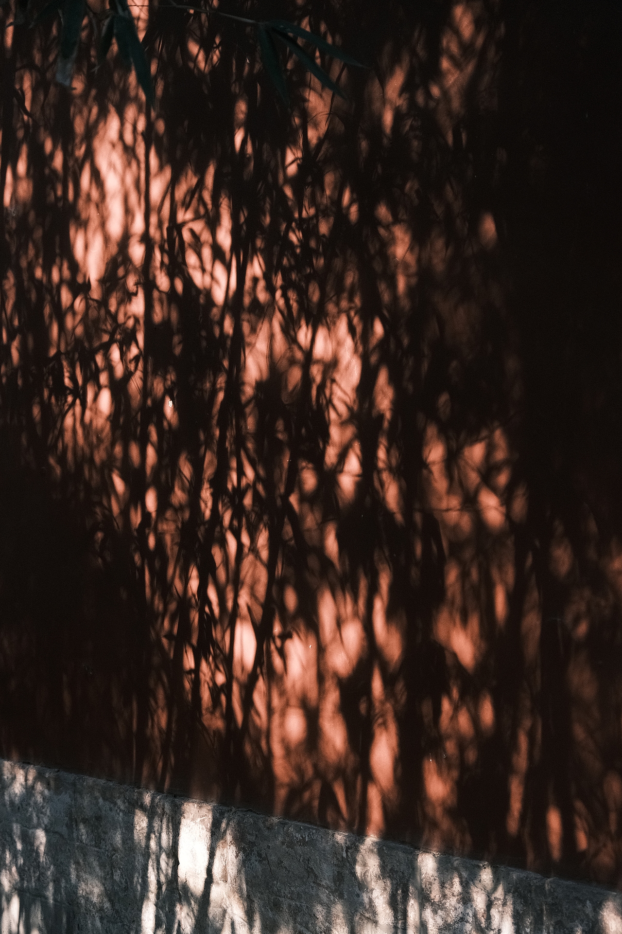 北海公园  中山公园