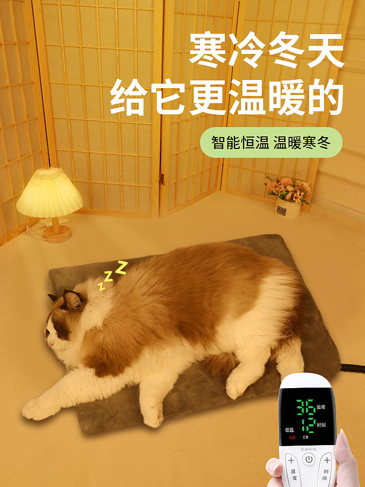 保暖垫主图（图ZMzYwNjUxODY0） - 海报 - 站酷设计师爱吃汉堡的设计师原创素材 - 站酷ZCOOL