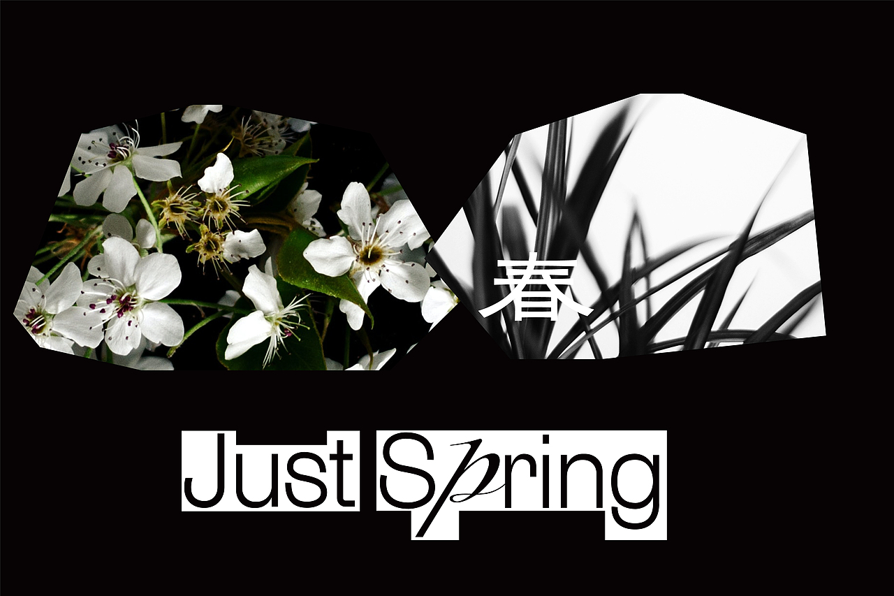 春在Just Spring :化妆品品牌与包装设计