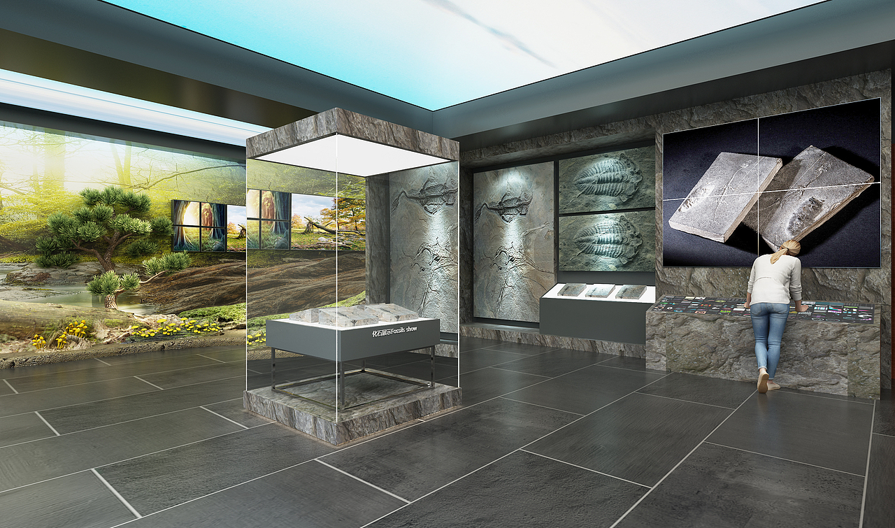 南邻自然博物馆-巍巍南岭-植物馆