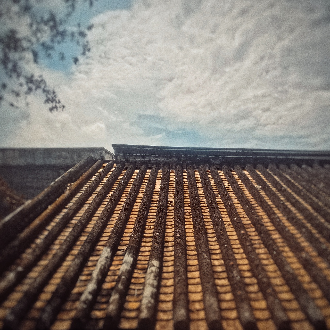 行摄广东唯一一处世界文化遗产开平碉楼