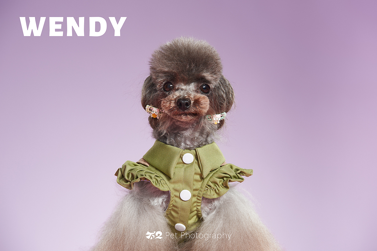 烟台美食摄影 | 萌宠 ✖ 不二造相