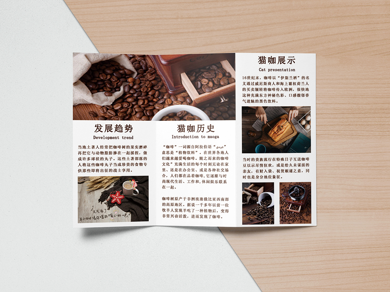 三折页（图ZMzAyNzk0ODUy） - 书籍/画册 - 站酷设计师兜兜有奶糖原创素材 - 站酷ZCOOL