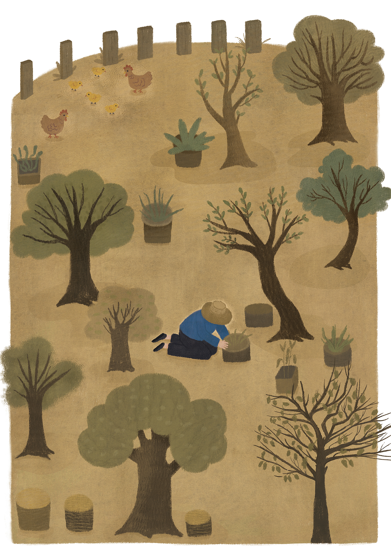 《我的奶奶董秀荣》我的第一本原创绘本来啦