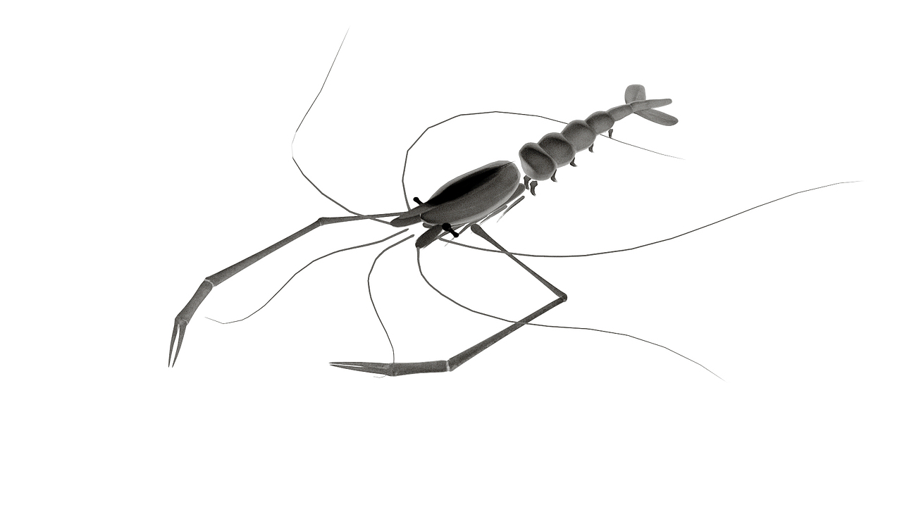 3D水墨-三渲二水墨动画