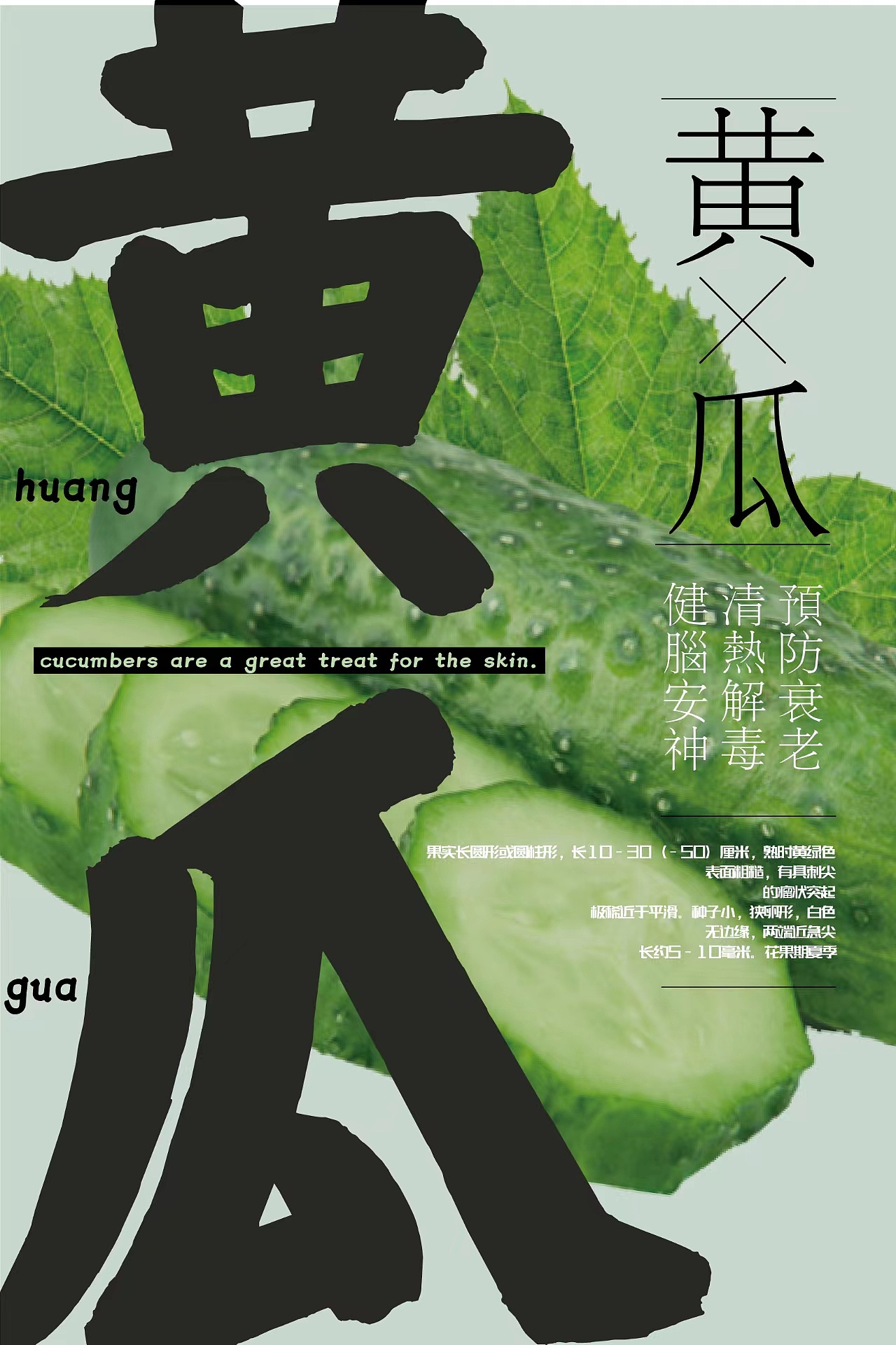 黄瓜（图ZMzE2MjM4MTMy） - 海报 - 站酷设计师闵妍恩的好兄弟原创素材 - 站酷ZCOOL