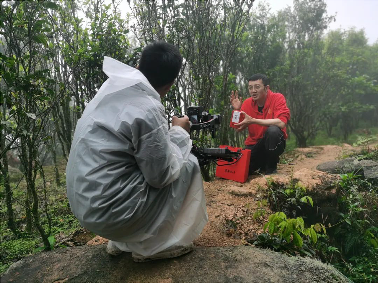 顺子说茶一周年庆形象&礼盒设计