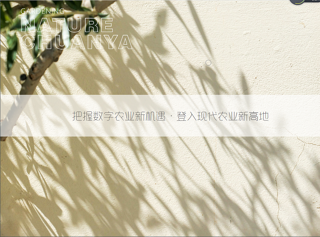 花卉园艺画册设计