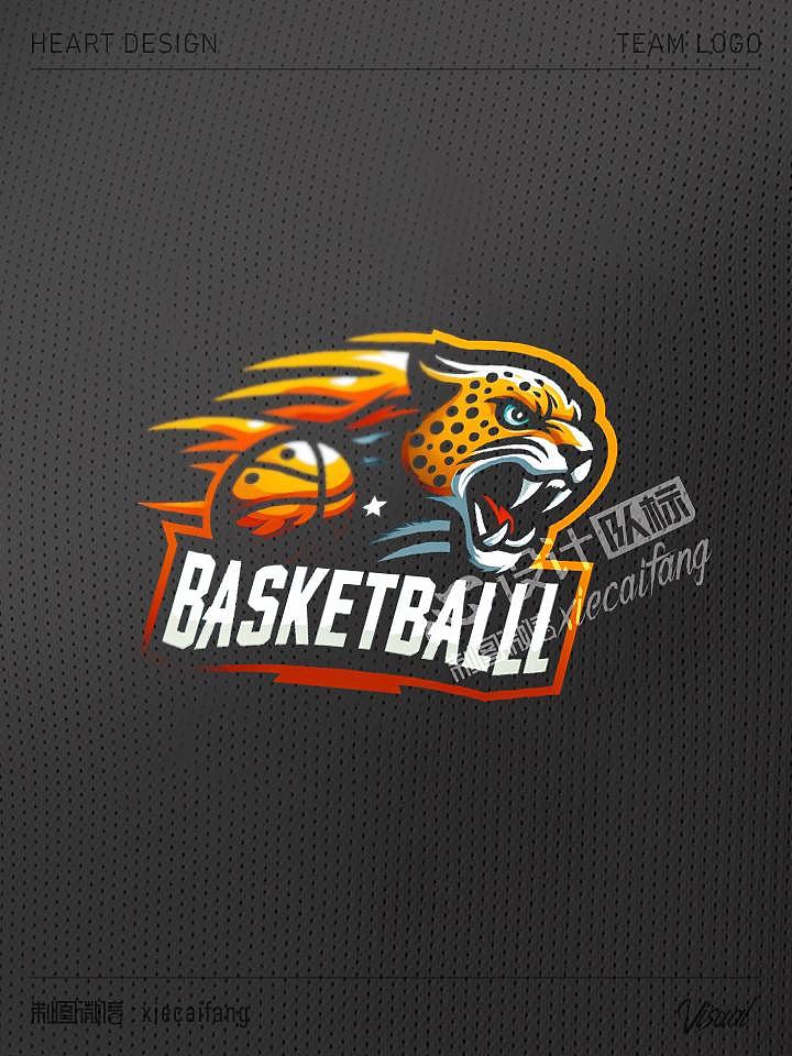 猎影踪豹！篮球队徽设计球队赋予灵动之势（图ZMzU4MjQ3NTM2） - Logo - 站酷设计师加力果原创素材 - 站酷ZCOOL