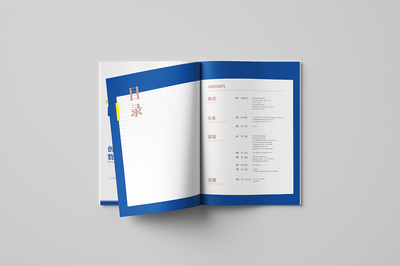 昇兴股份丨企业内刊 产品包装研发企业期刊（图ZMzMwOTMxOTI0） - 书籍/画册 - 站酷设计师硬想人原创素材 - 站酷ZCOOL