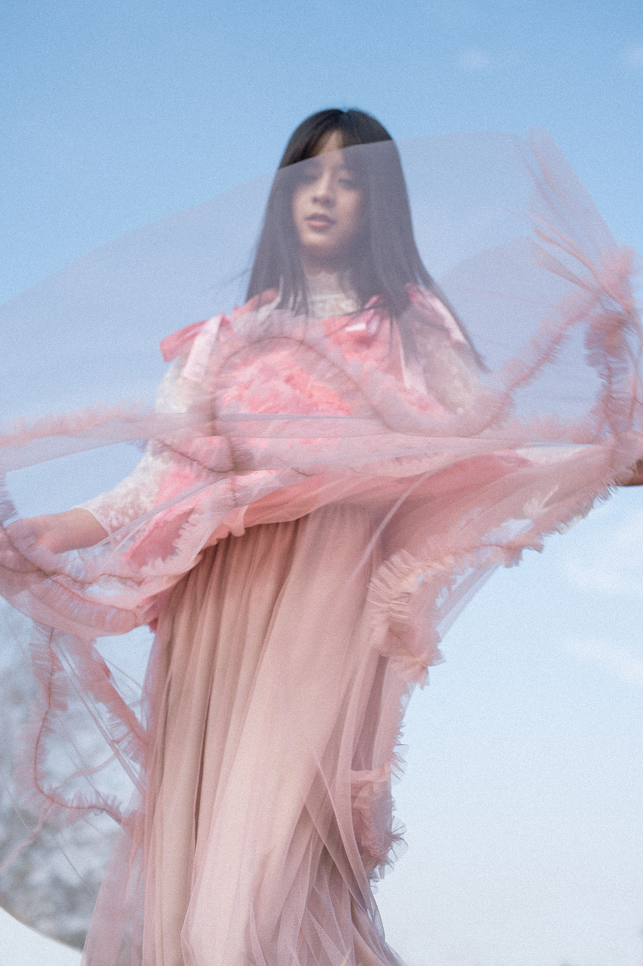 我向往天空的自由