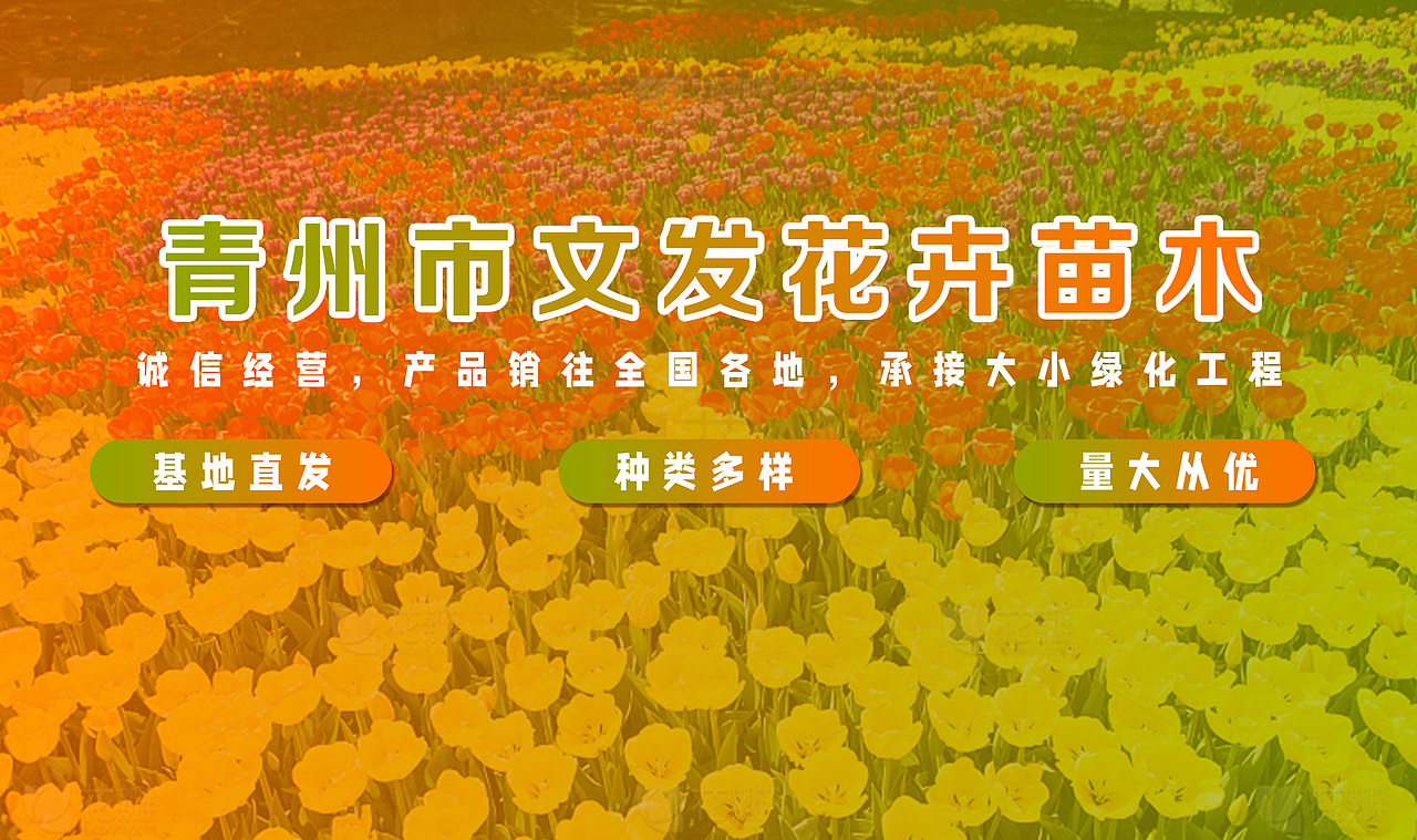 工作中的banner2023(下半年)