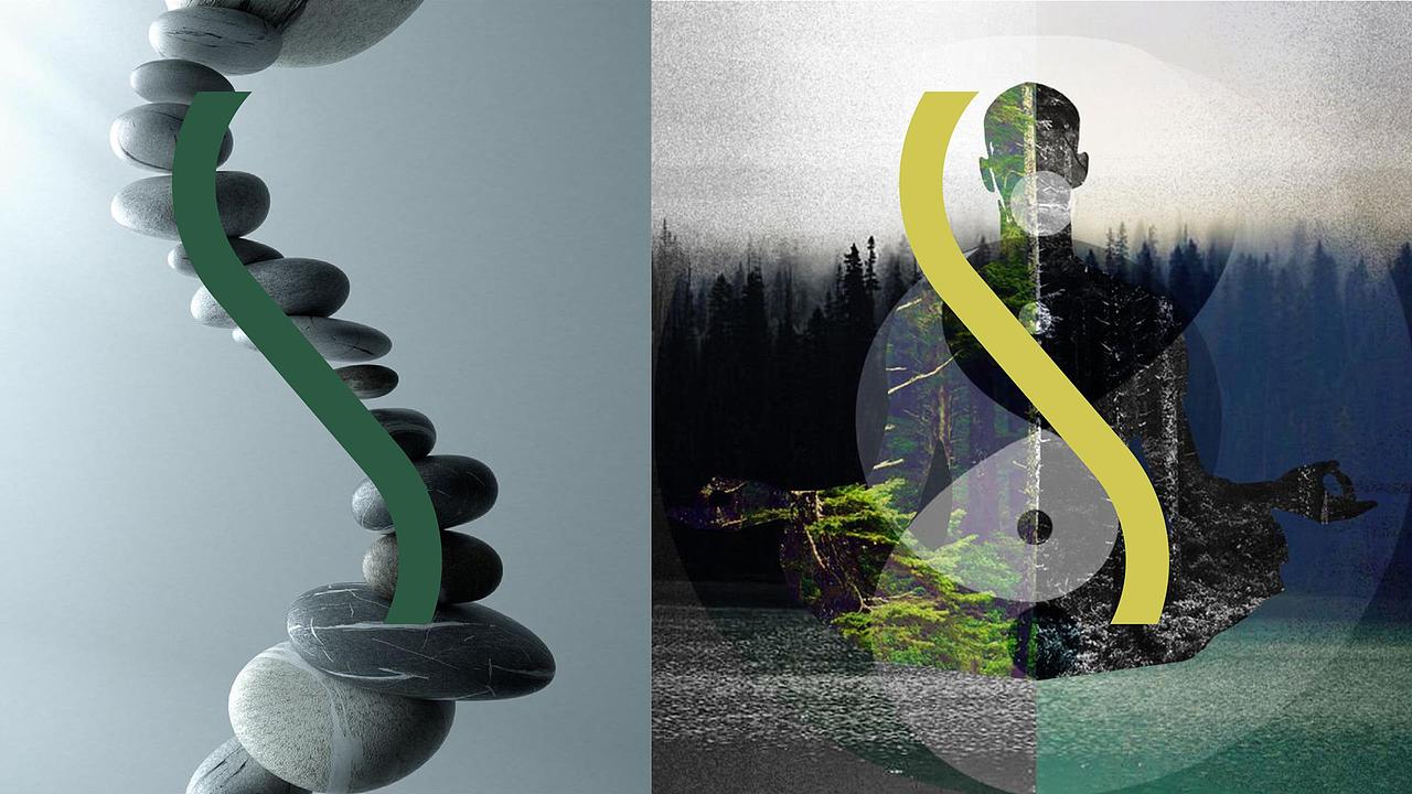 LANSHU SKINCARE | Brand Build Case