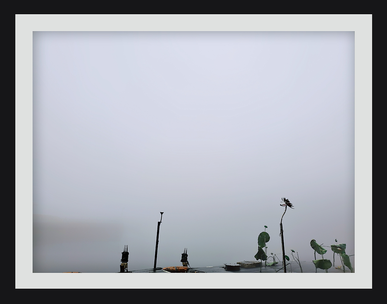 陪你的人比沿途的风景更美好丨手机摄影