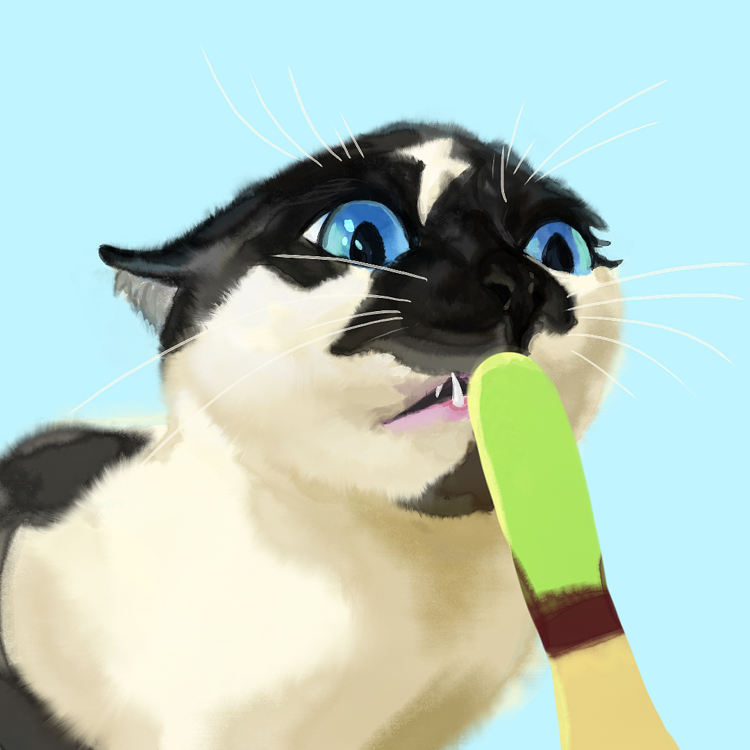 最近画的5张猫猫