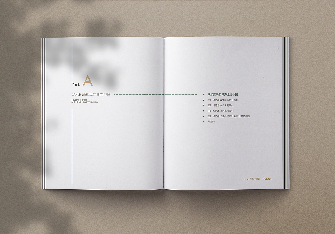 有禧设计 | 某省马术协会简介 伴手画册
