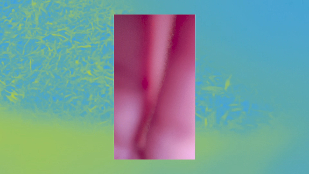 《禁色》私人艺术影像创作