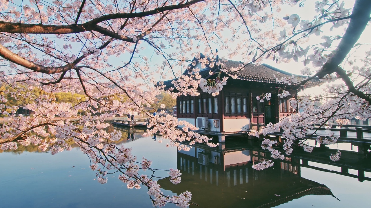 近期的几个小创作