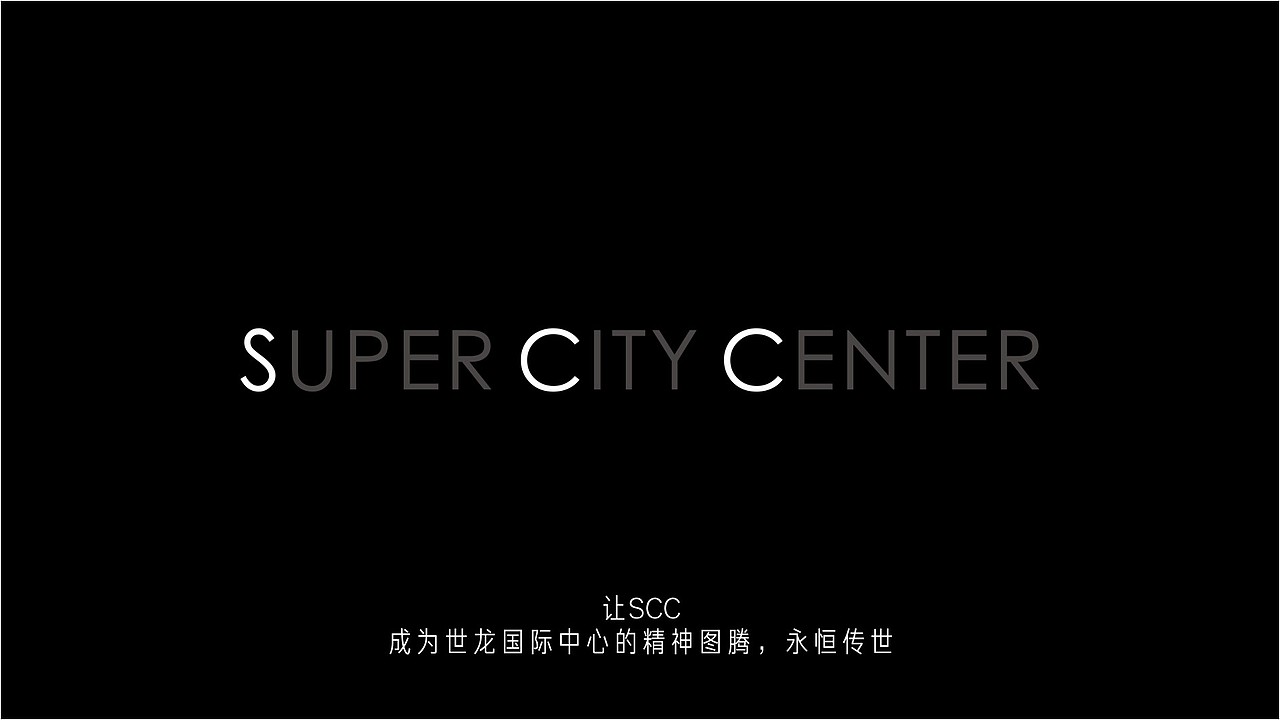 成都世龙国际中心项目提报