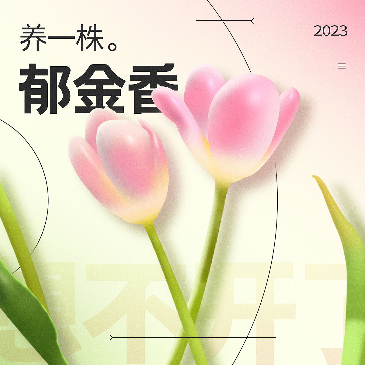 DAY10 郁金香 膨胀效果（图ZMzM4MzIzNDM2） - 海报 - 站酷设计师东北香蕉老皮猪原创素材 - 站酷ZCOOL