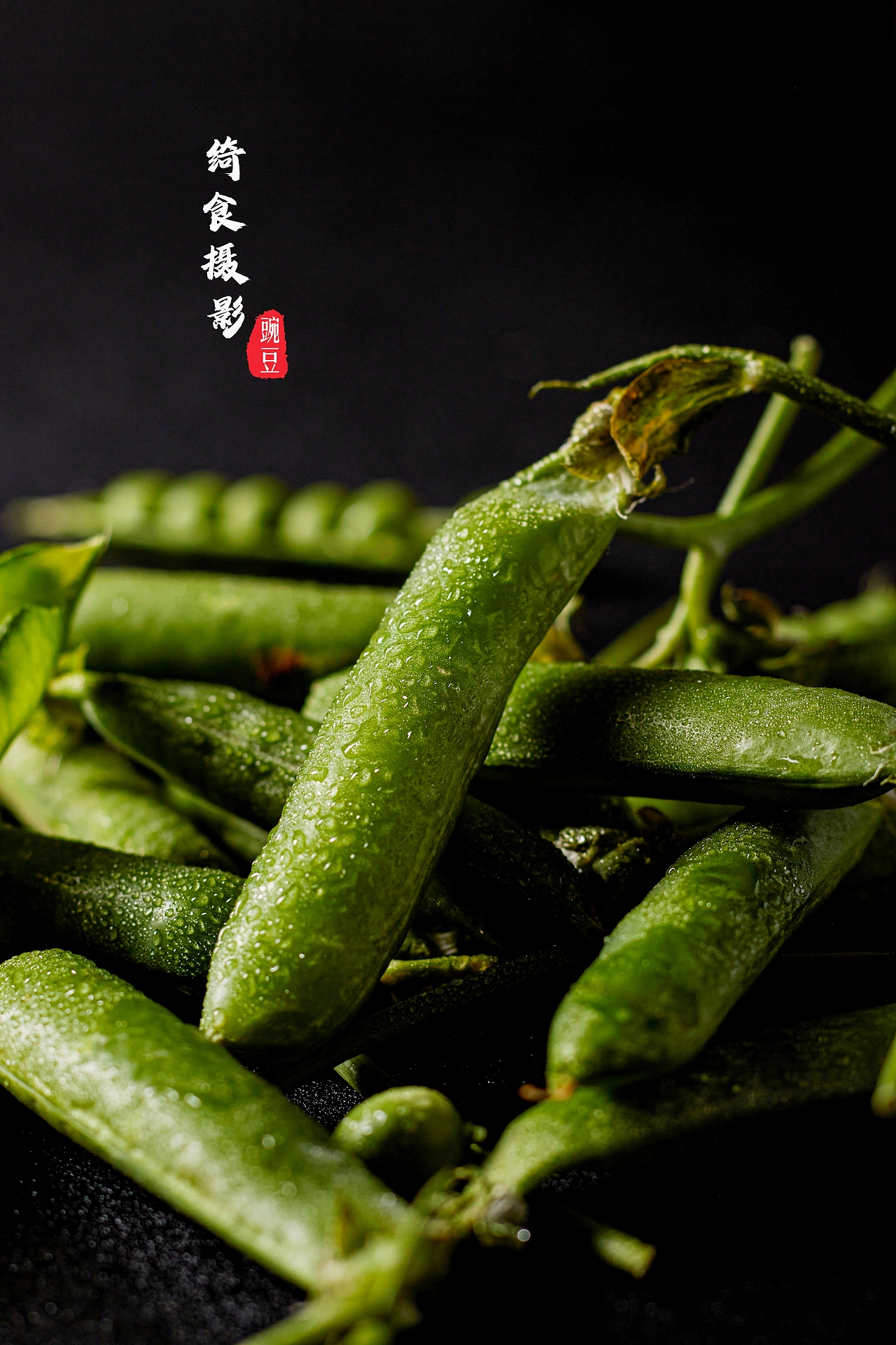 豌豆拍摄|春天的第一抹绿