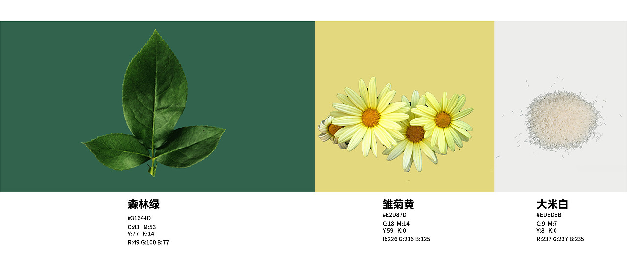 《向自然TONATURE》露营品牌设计——一种生活的艺术