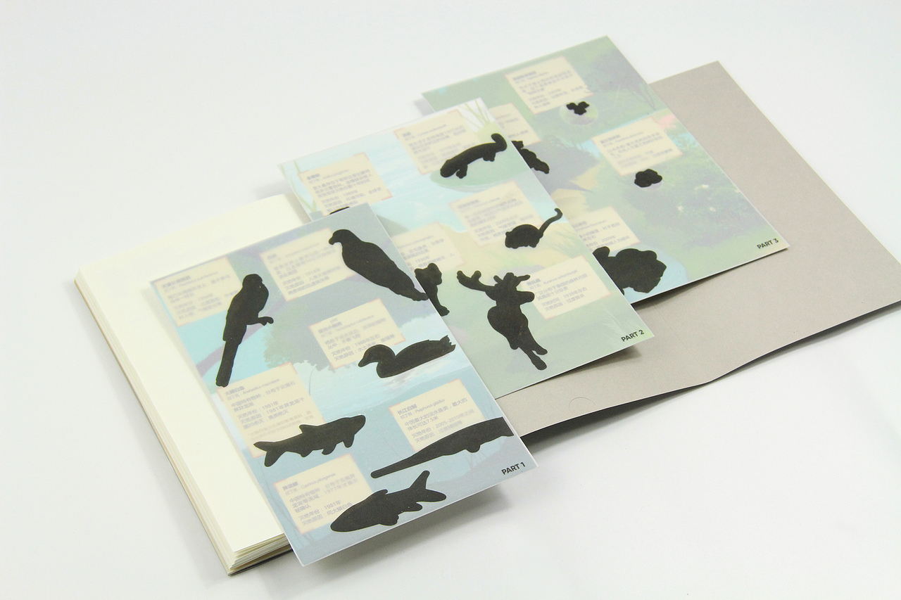 腾讯新闻《我的野朋友行动指南》-杂志装帧设计（图ZMzI4Njk1NTU2） - 书籍/画册 - 站酷设计师Allen_cxl原创素材 - 站酷ZCOOL