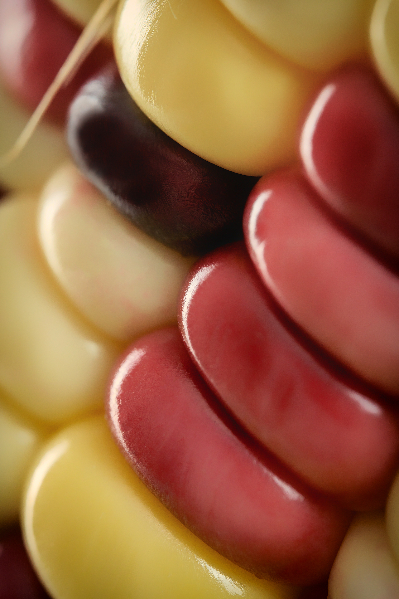 美食摄影| 南方人只爱甜玉米? 糯玉米达咩