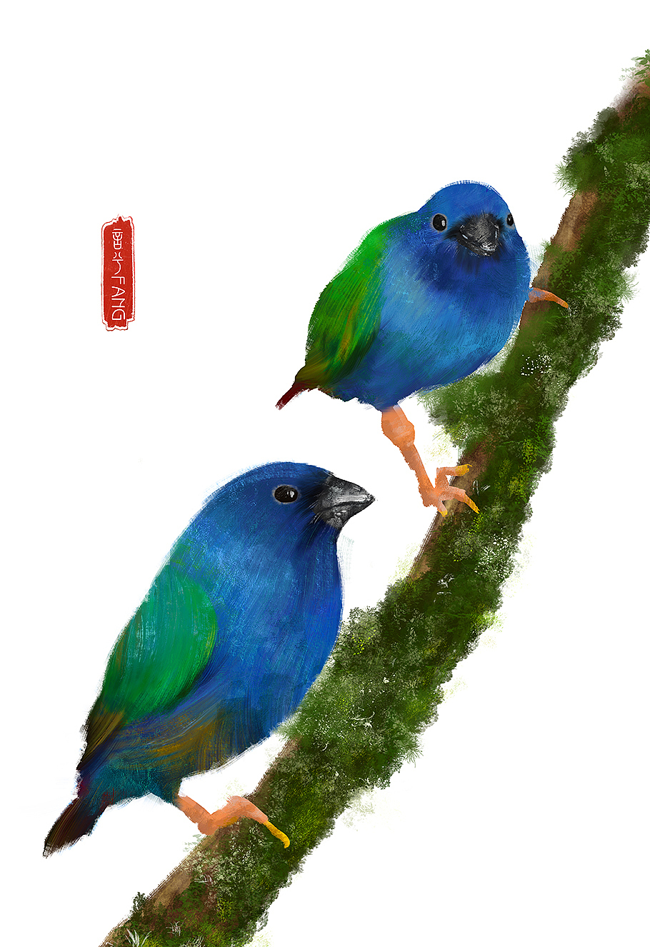 可爱的小鸟儿~~