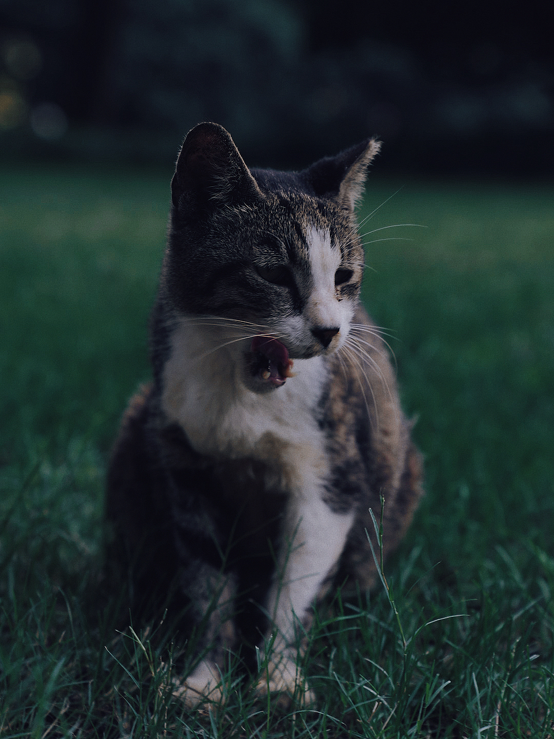 纪实-上海静安公园