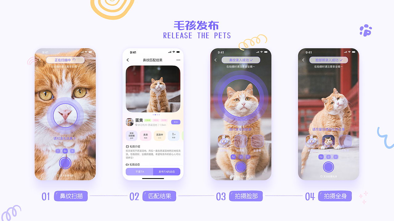 KEEPAW流浪动物救助app设计