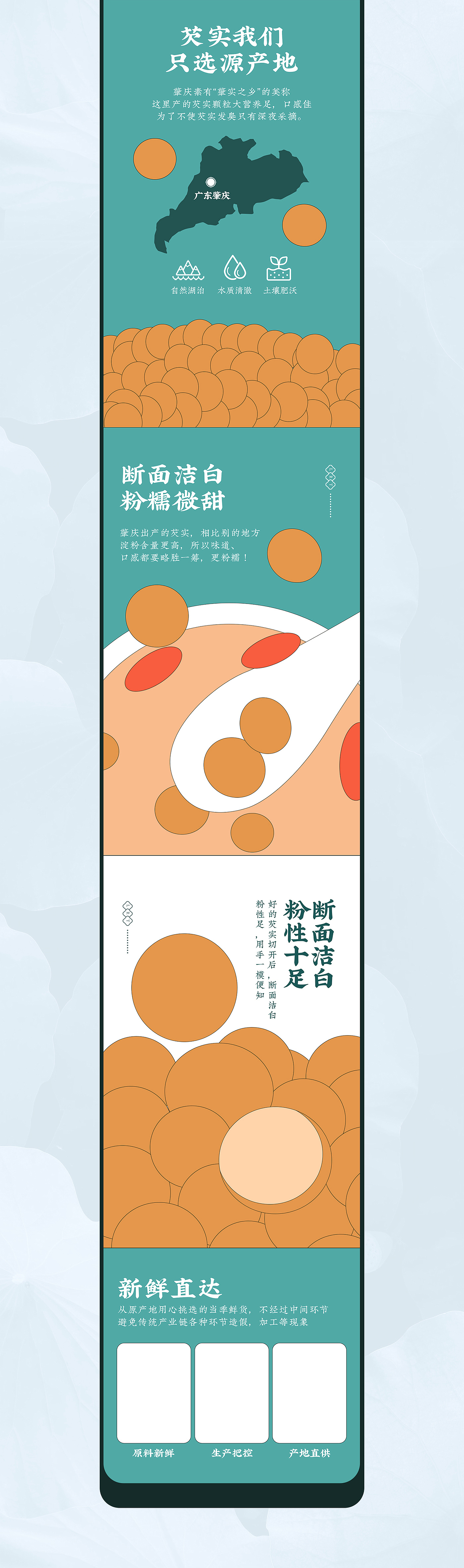 芡实|详情页|广东肇庆|滋补品|煮粥|泡酒|中药材|中式