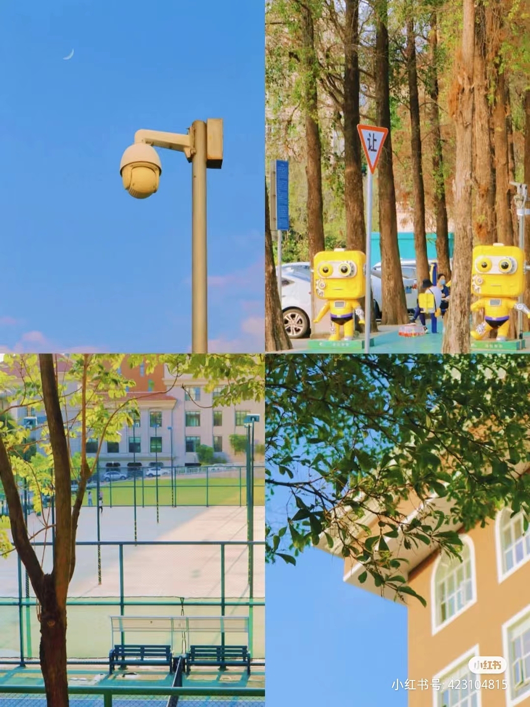 个人作品集——摄影作品