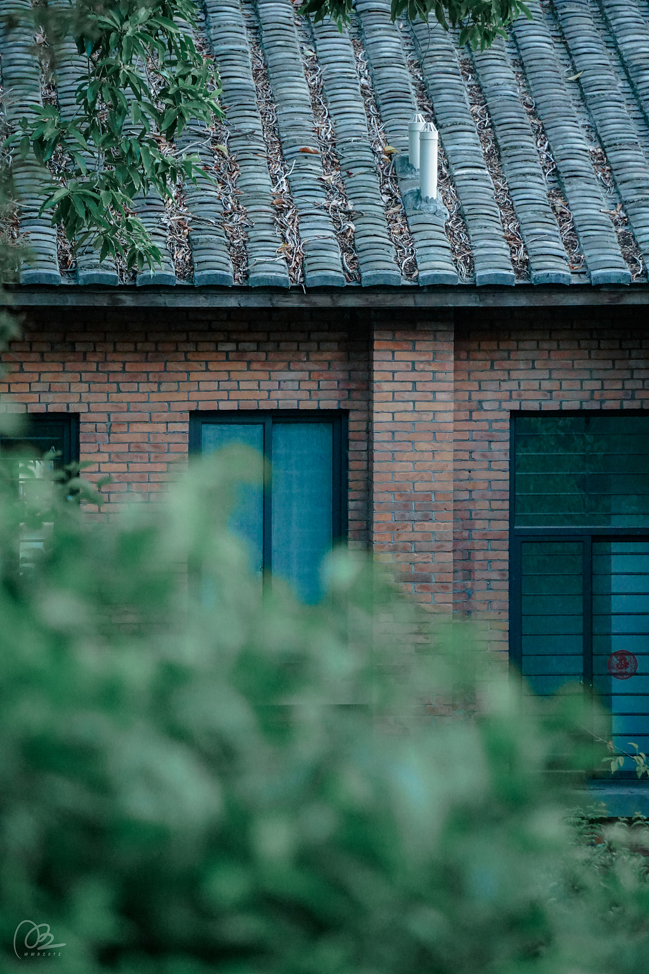 福州丨冶山春秋园.（图ZMzIzNTYyNDY0） - 人文/纪实摄影 - 站酷设计师炭烤旺旺原创素材 - 站酷ZCOOL