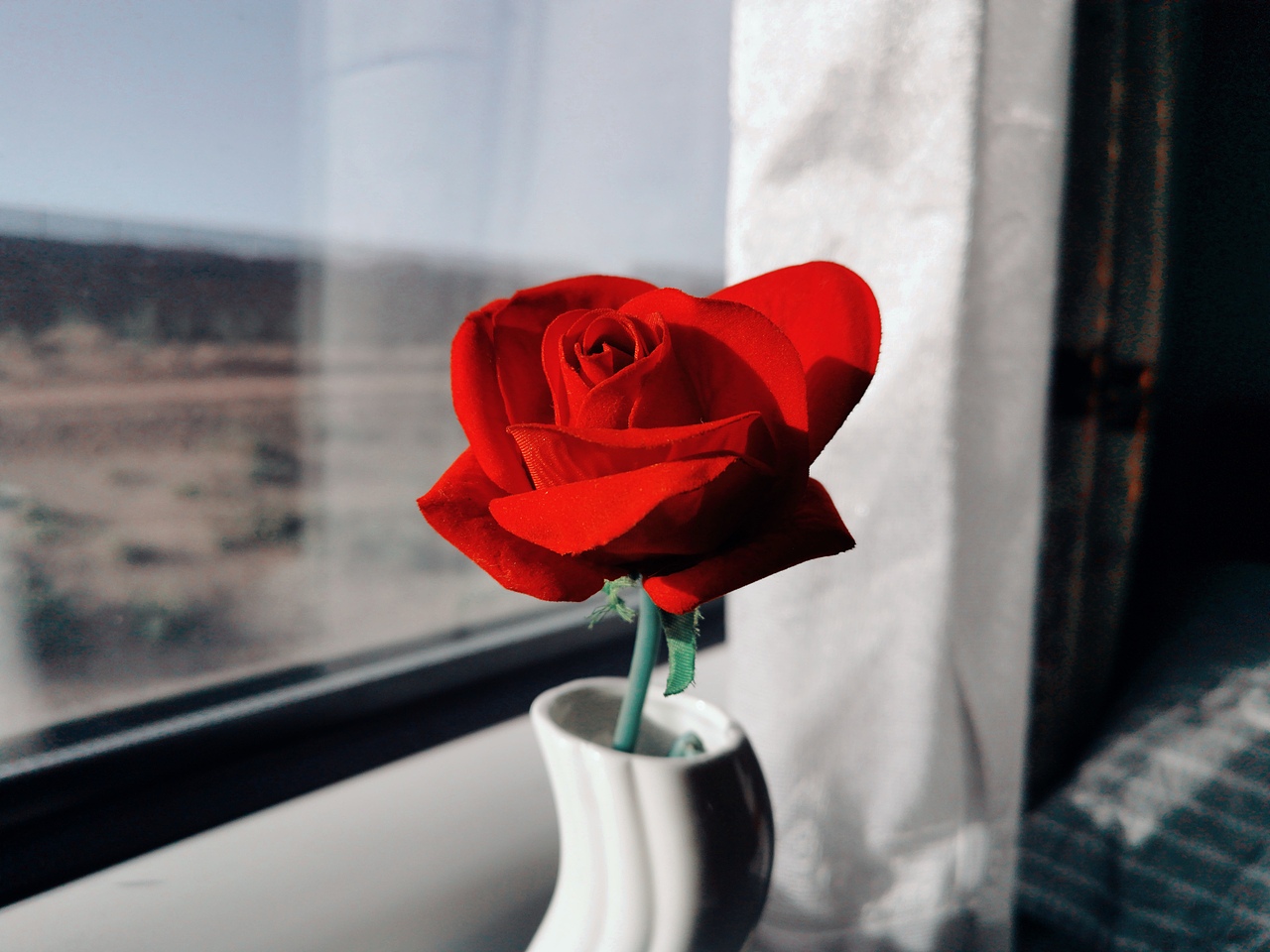 赠人玫瑰,手留余香,旅途中的小美好