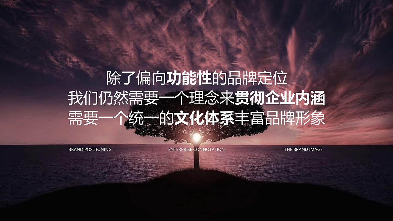 倍加洁牙膏品牌升级-品牌全案