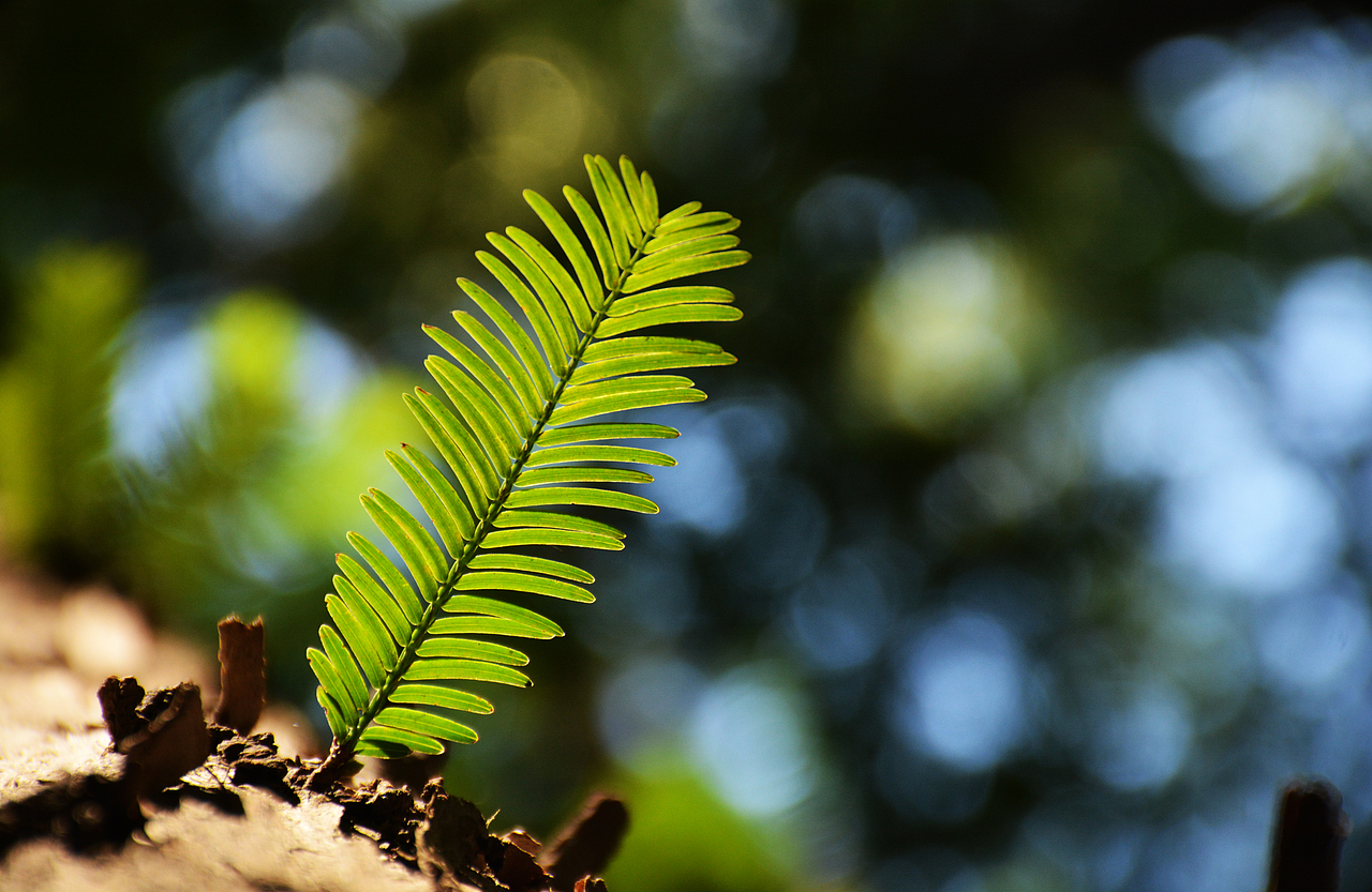 个人摄影作品集